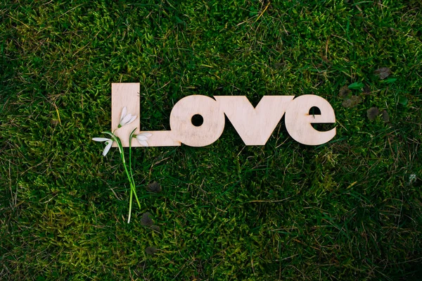 Lettere in legno LOVE — Foto Stock