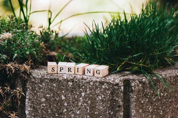 Word spring on wooden cubes — Stock Photo, Image