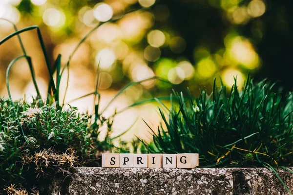 Word spring on wooden cubes — Stock Photo, Image