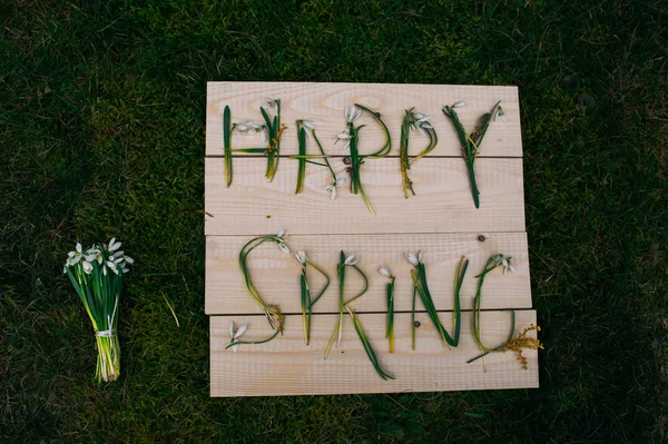 Beautiful snowdrops on wooden board — Stock Photo, Image