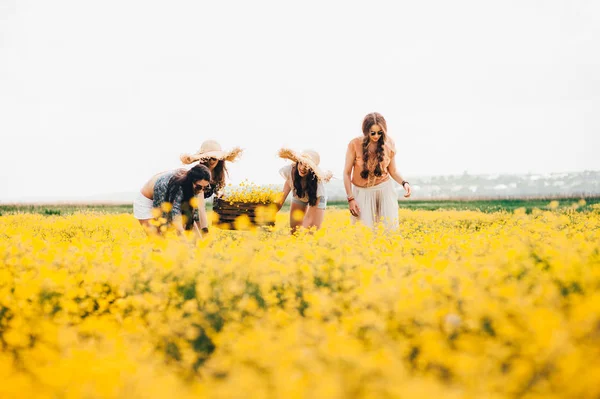 Hippie girls in field — Stock Photo, Image