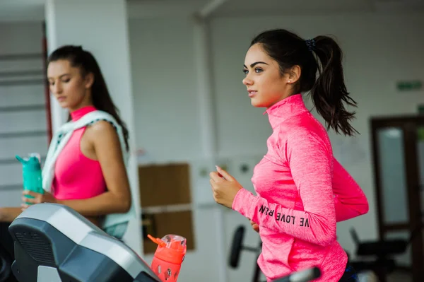 Sportiga kvinnor i gymmet — Stockfoto