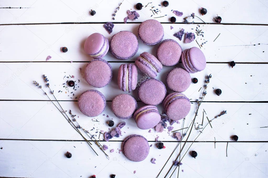 lavender french macarons