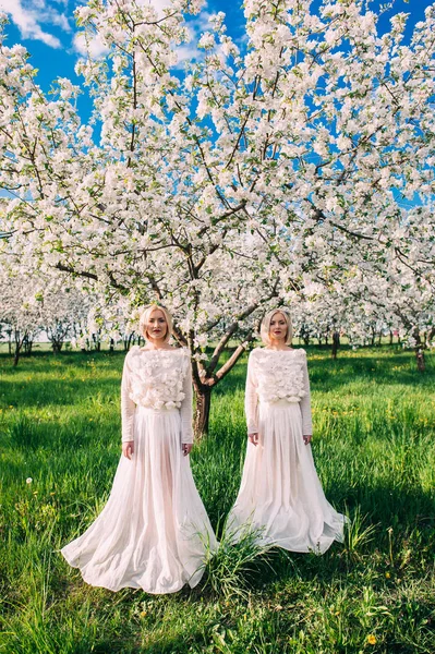 Сестры в вишневом саду — стоковое фото