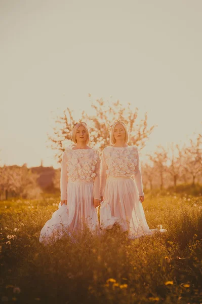 Sisters in cherry orchard — Stock Photo, Image