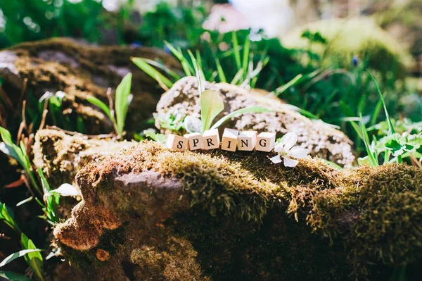 Palavra primavera em cubos de madeira — Fotografia de Stock