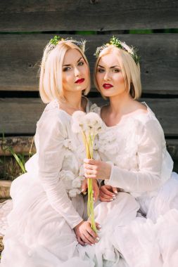 Dandelions tutan ikiz kardeşler