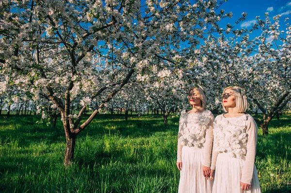 Tweelingzusjes in een cherry orchard — Stockfoto