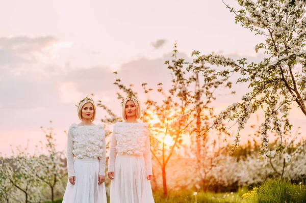 Irmãs gêmeas em um pomar de cereja — Fotografia de Stock
