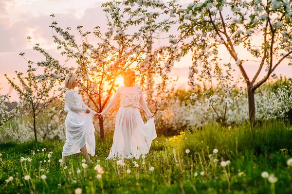 Twin sisters in a cherry orchard — Stock Photo, Image