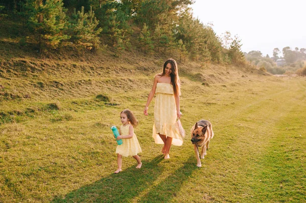 Щаслива сім'я з собакою — стокове фото