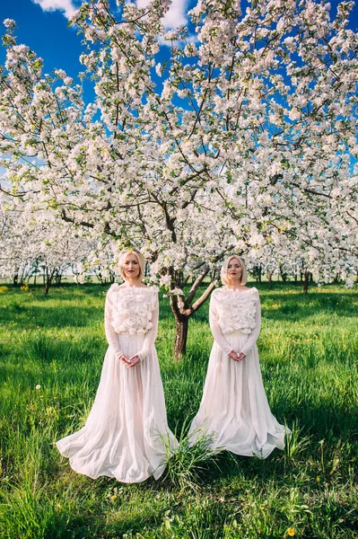 체리 과수원에서 쌍둥이 자매 — 스톡 사진