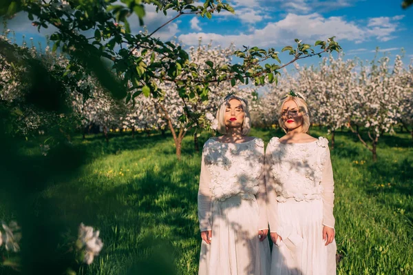 Twin sisters in a cherry orchard — Stock Photo, Image