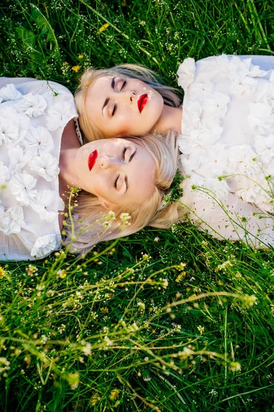 Сёстры близнецы лежат на траве — стоковое фото