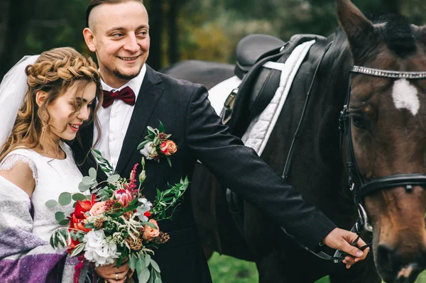 Jeune couple avec un cheval noir — Photo
