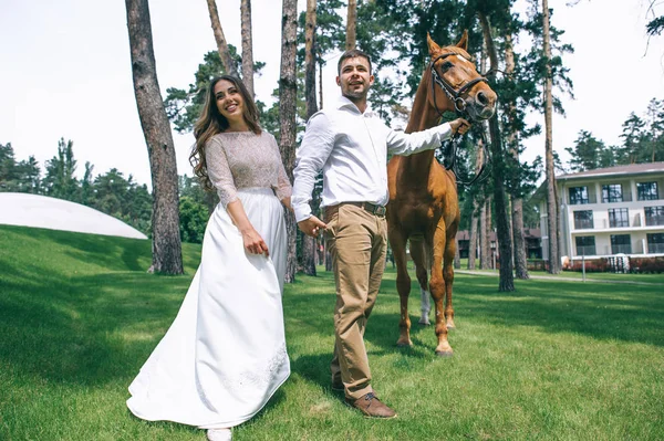 wedding  couple with horse