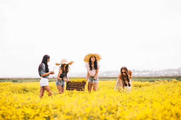 Meninas em um campo de flores amarelas — Fotografia de Stock