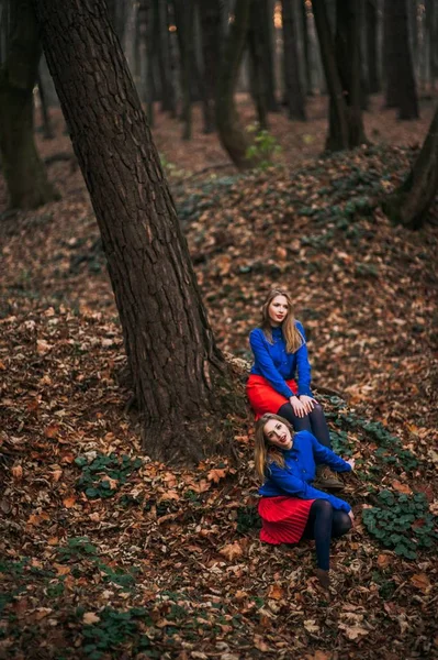 Surori gemene în pădure — Fotografie, imagine de stoc