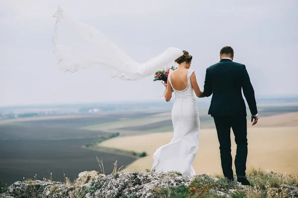 Krásná nevěsta a ženich — Stock fotografie