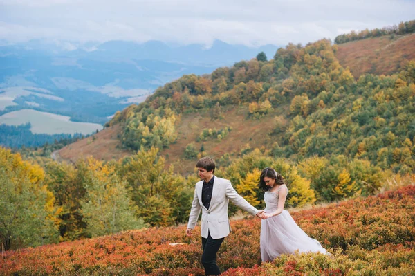 Pareja recién casada —  Fotos de Stock