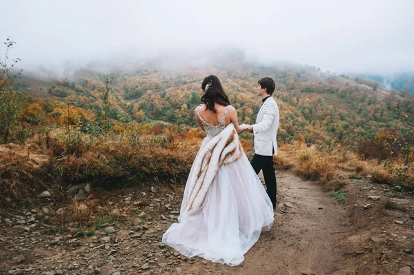 Casamento recente — Fotografia de Stock