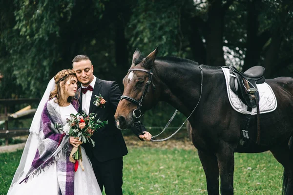 Pareja con un caballo negro —  Fotos de Stock