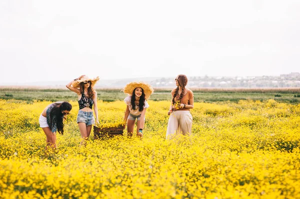 Vier mooie meisjes in een veld — Stockfoto