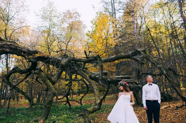 Nevěsta a ženich v parku — Stock fotografie