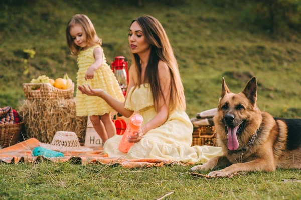 Anne ve kızı bir piknik — Stok fotoğraf