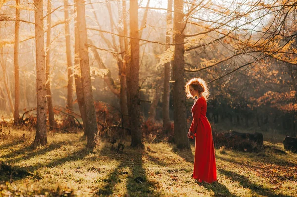 Meisje in een mysterieuze bos — Stockfoto