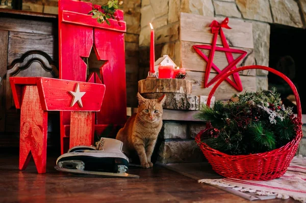 Kerstversiering met een kat — Stockfoto