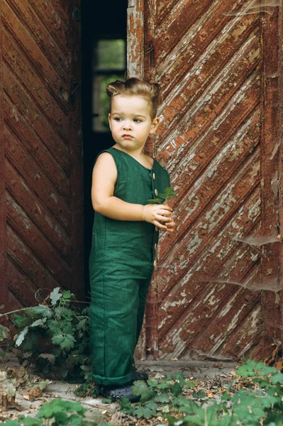Ahşap Eski Kapı Yanındaki Küçük Çocuk Bir Yeşil Birlikte Çalış — Stok fotoğraf