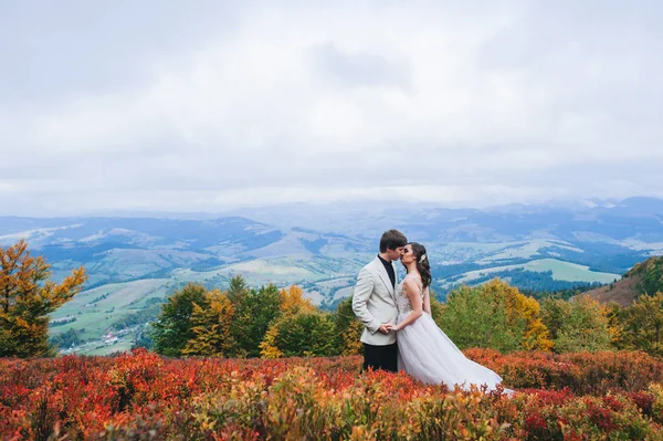 Feliz Pareja Recién Casada Besándose Las Montañas —  Fotos de Stock