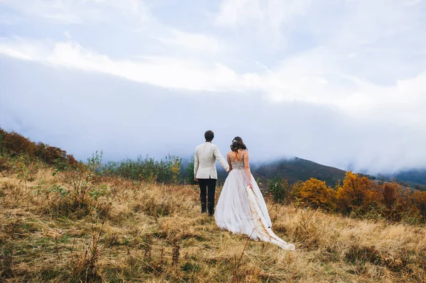 Vista Trasera Una Pareja Recién Casados Caminando Por Las Montañas —  Fotos de Stock