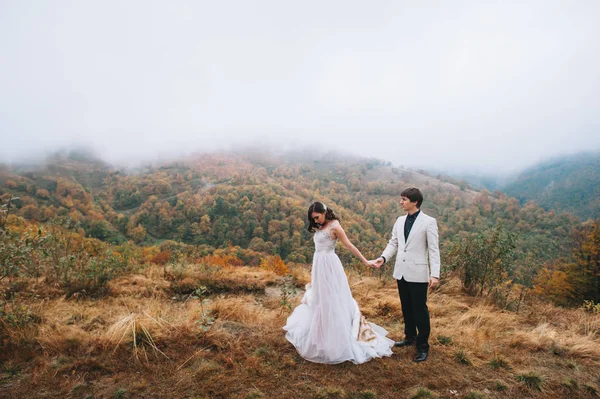 Happy Newly Married Couple Holding Hands Mountains — Stock Photo, Image