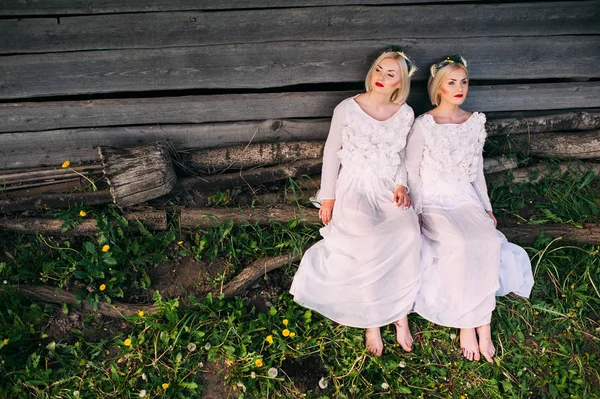 Красиві Сестри Близнюки Сидять Біля Дерев Яної Стіни — стокове фото