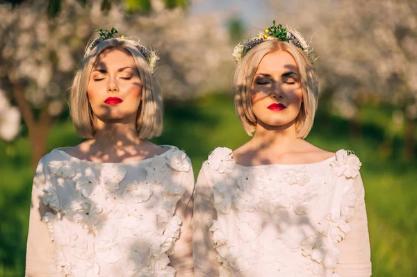 Дві Розкішні Сестри Близнючки Вишневому Саду — стокове фото