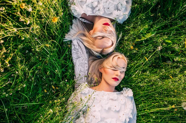緑の草の上に横たわる つの魅力的な双子の姉妹 — ストック写真
