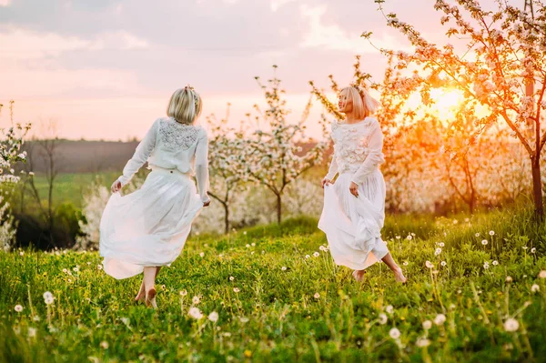 Twee Prachtige Tweelingzusjes Een Cherry Orchard — Stockfoto