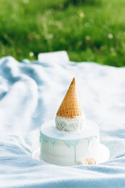 close-up view of ice cream cake in the nature