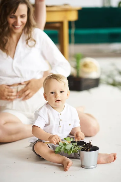 Een Gelukkig Gezin Dat Thuis Werkt Planten Met Hun Kind — Stockfoto
