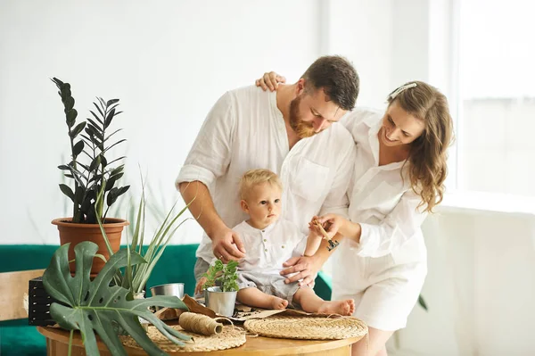 Evde Çalışan Mutlu Bir Aile Çocuklarıyla Birlikte Bitkileri Naklediyorlar — Stok fotoğraf