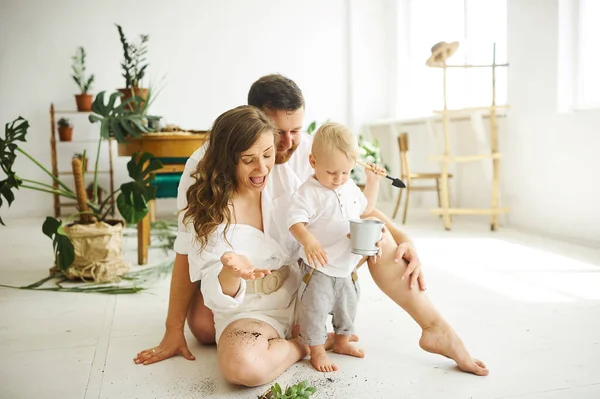 Glad Familj Som Jobbar Hemma Omplantering Växter Med Sitt Barn — Stockfoto