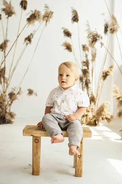 Een Portret Van Een Kleine Vrolijke Jongen Een Witte Achtergrond — Stockfoto