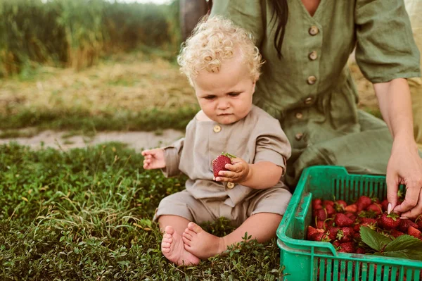 Ein Netter Schöner Kaukasischer Junge Mit Einem Korb Erdbeeren Sammelt — Stockfoto