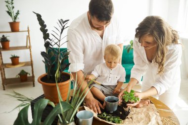 Evde çalışan mutlu bir aile. Çocuklarıyla birlikte bitkileri naklediyorlar.