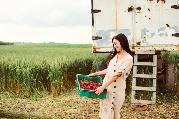 Una Giovane Bella Donna Campo Raccogliere Fragole Con Cesto Verde — Foto Stock