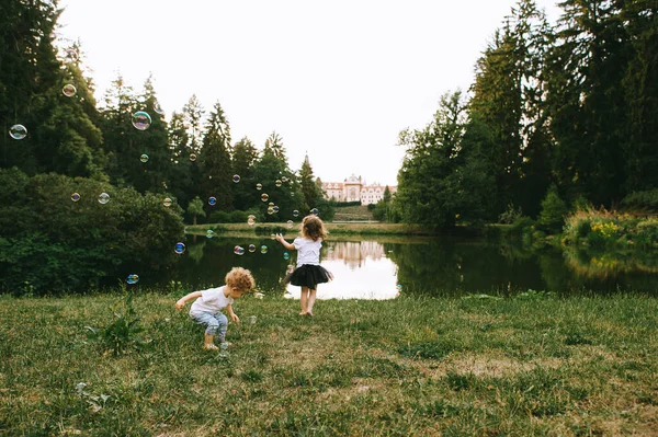 Due Piccoli Bambini Carini Che Giocano Con Bollicine Vicino Lago — Foto Stock
