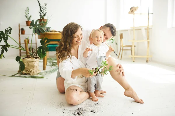 Glad Familj Som Jobbar Hemma Omplantering Växter Med Sitt Barn — Stockfoto