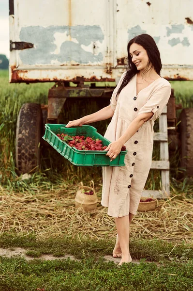 Eine Junge Schöne Frau Auf Einem Feld Bei Der Erdbeerernte — Stockfoto